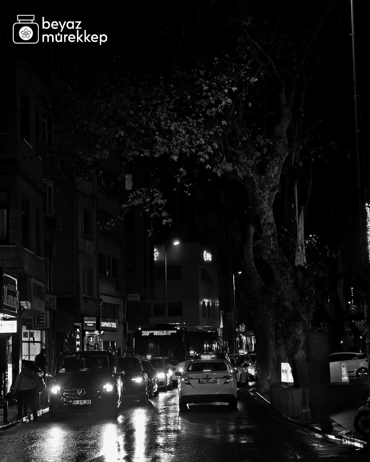 Ben ve Şehir /&nbsp;şiir